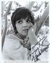Midnight Cowboy Brenda Vaccaro signed photo