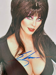 Elvira, Mistress of the Dark signed photo