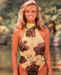 Cheryl Tiegs signed photo