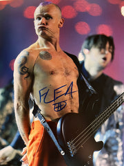 Red Hot Chili Peppers Flea signed photo