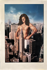 Private Parts original movie poster artwork