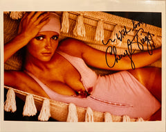 Cheryl Tiegs signed photo