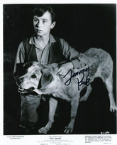 Old Yeller signed photo