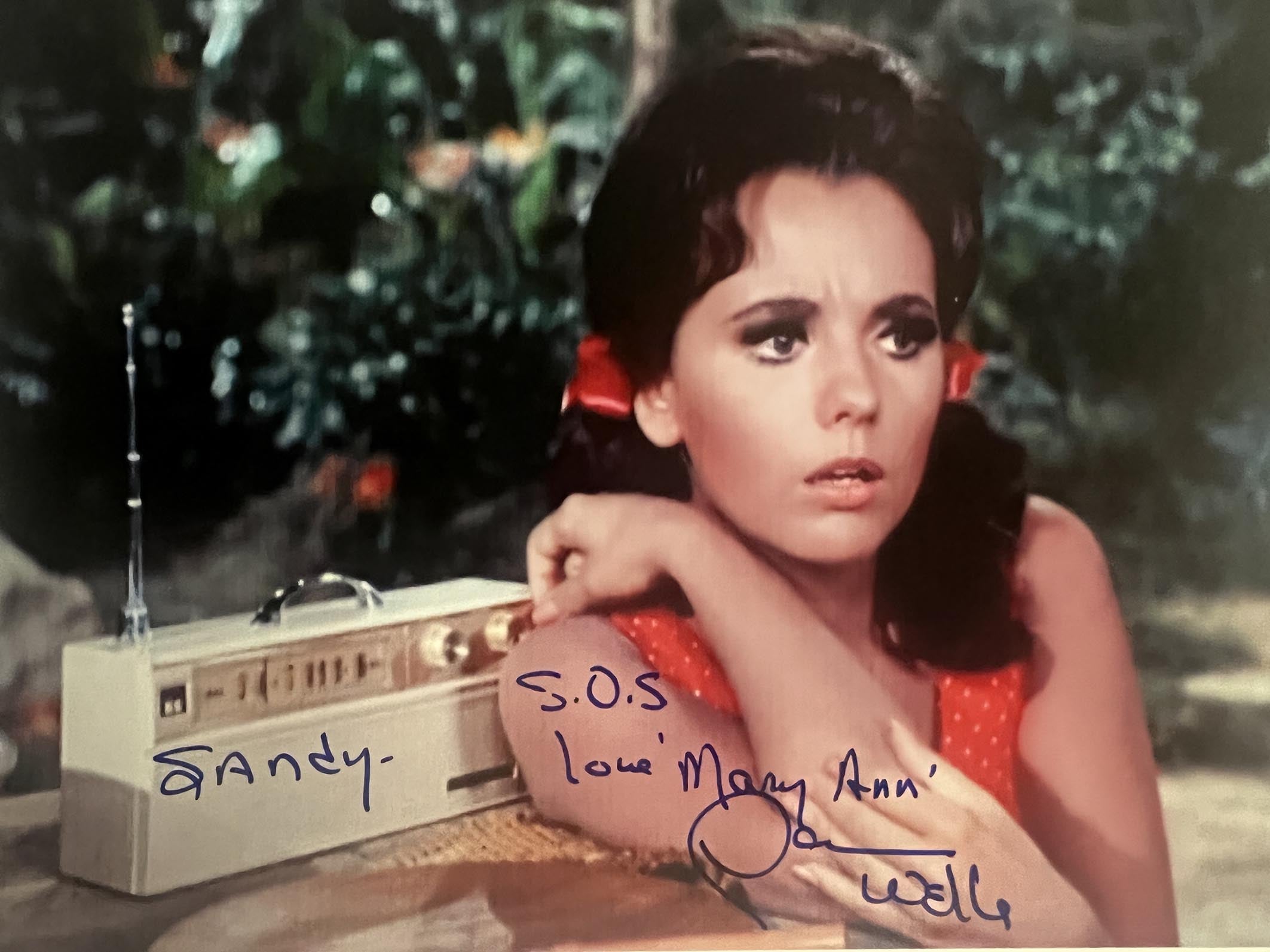 Gilligan's Island Dawn Wells signed photo