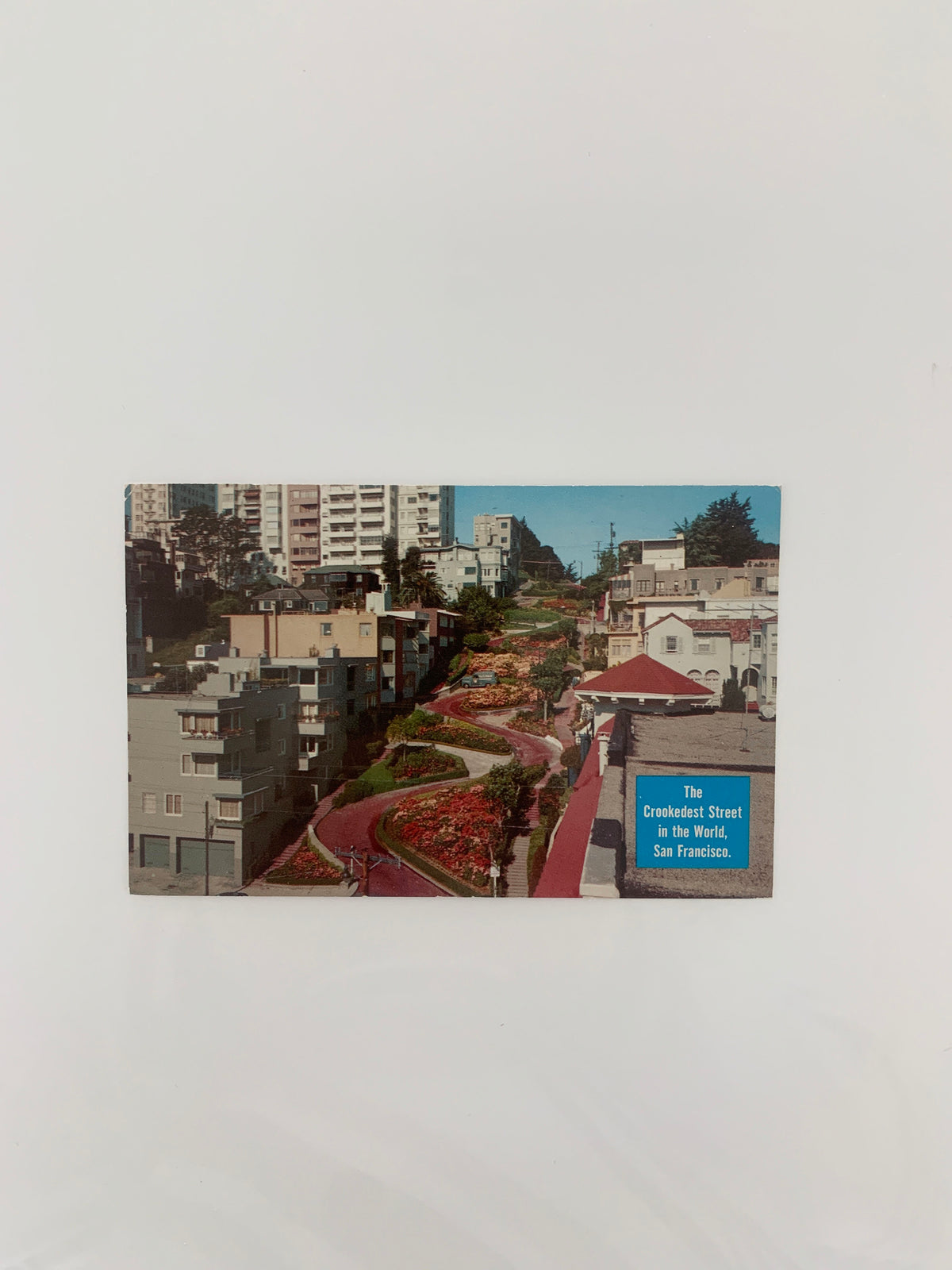 San Francisco vintage post card