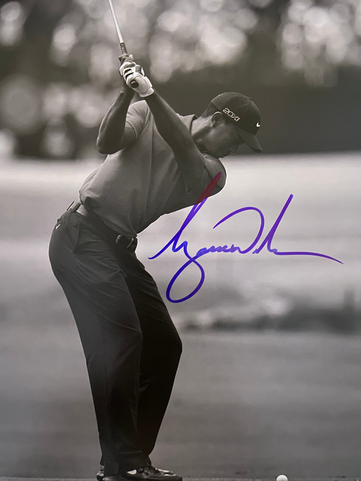 Tiger Woods signed photo