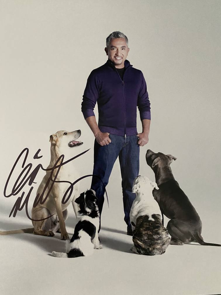 Dog Whisperer Cesar Millan signed photo