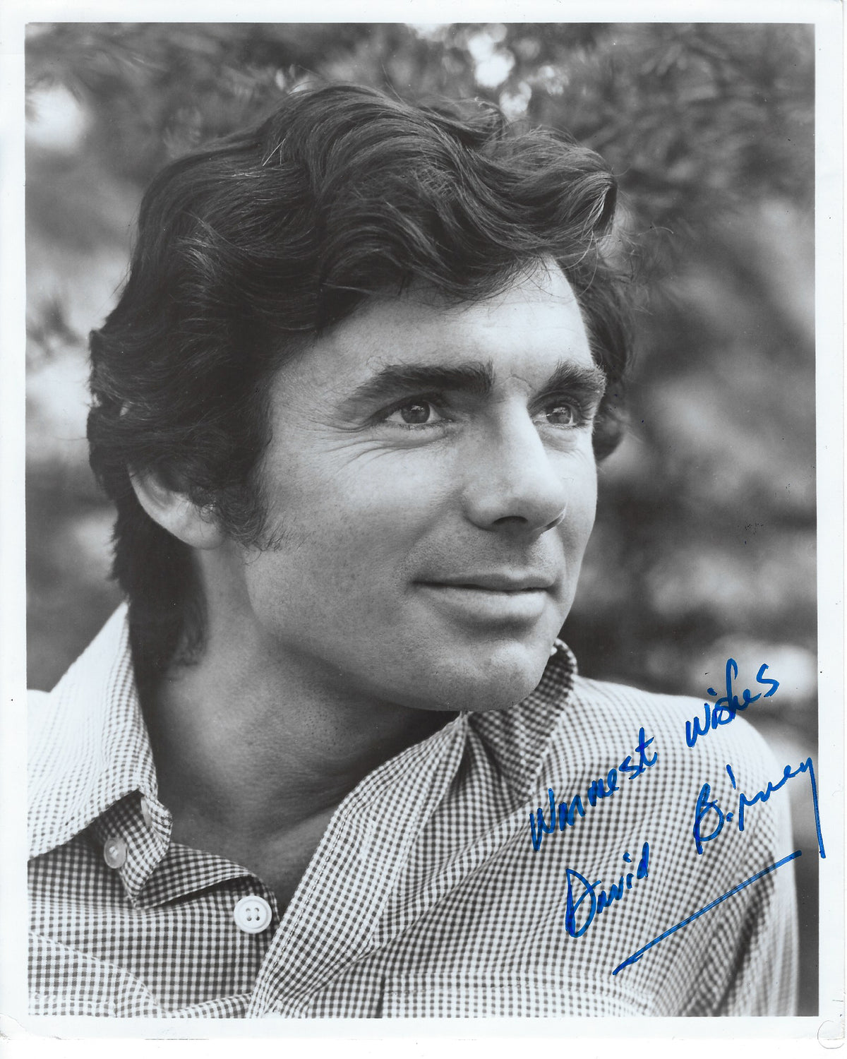 St Elsewhere David Birney Signed Photo