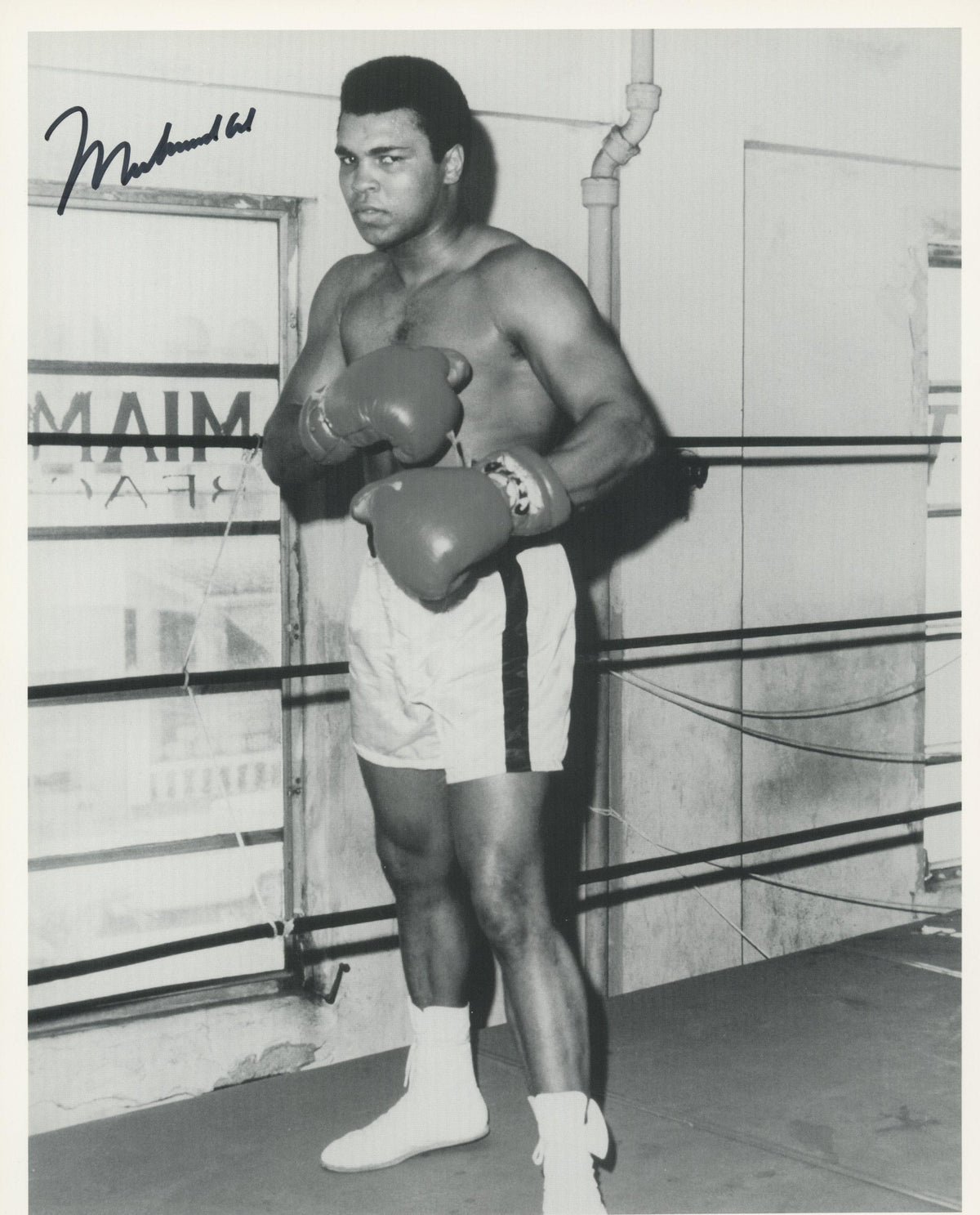 Muhammad Ali signed photo