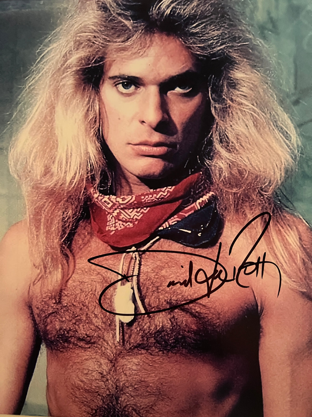 Van Halen David Lee Roth signed photo