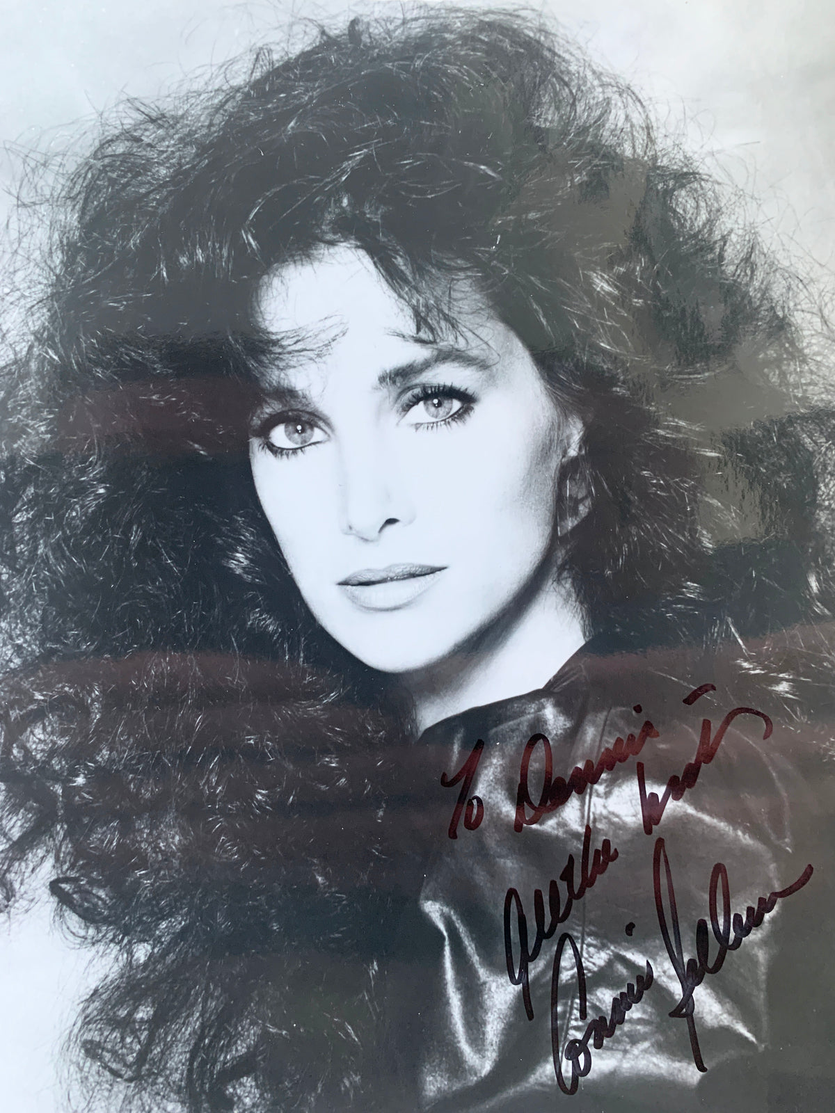 The Greatest American Hero Connie Sellecca signed photo