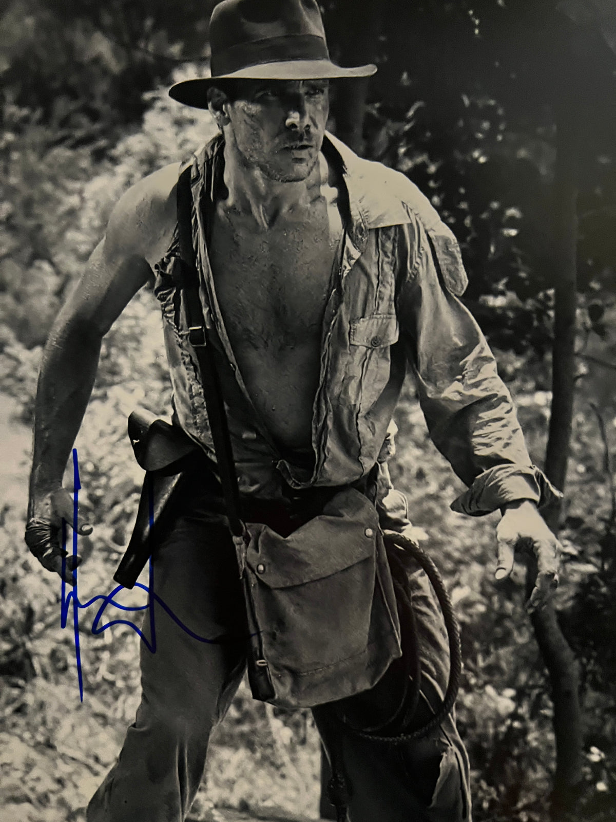 Indiana Jones Harrison Ford signed photo