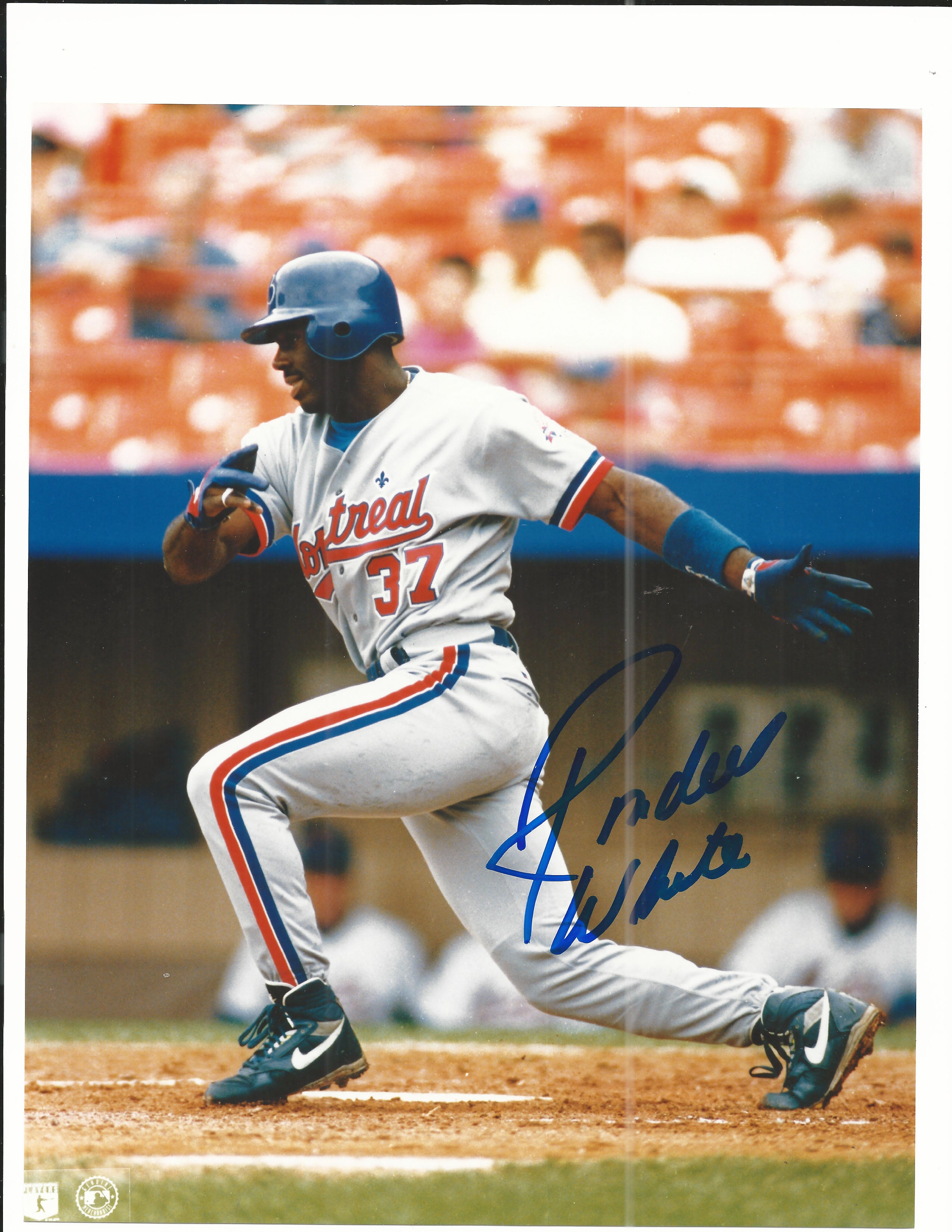 MLB Star Rondell  White signed photo