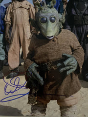 Star Wars Warwick Davis signed photo